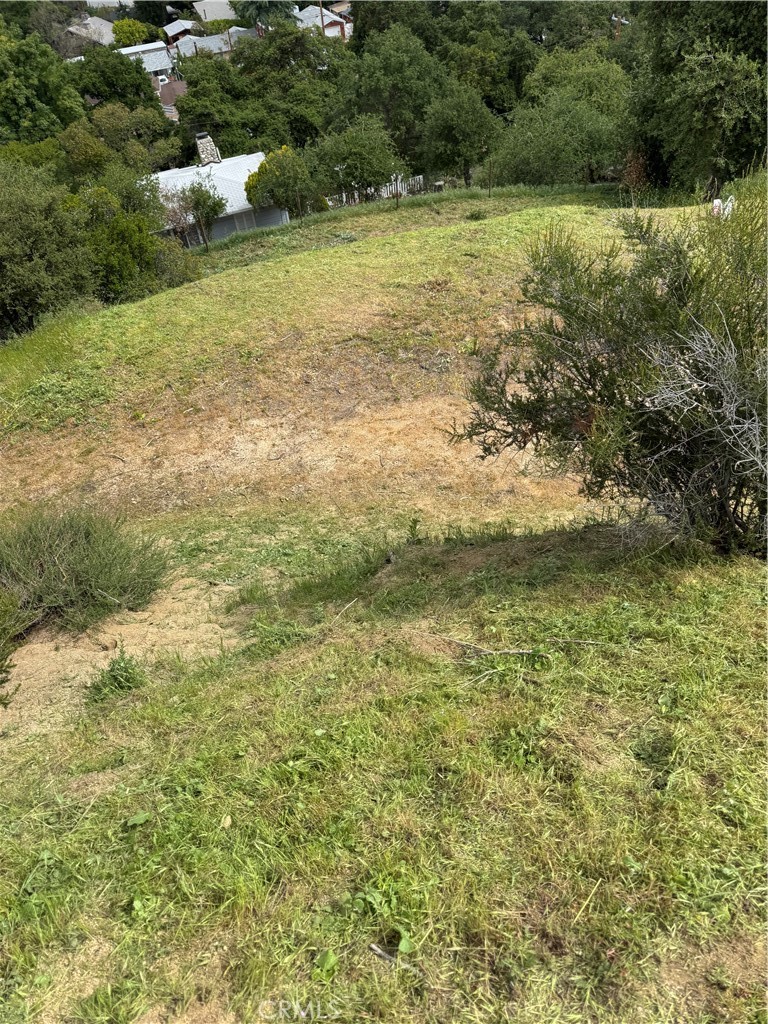0 Th Tujunga, CA 91042 - Photo 4 of 4