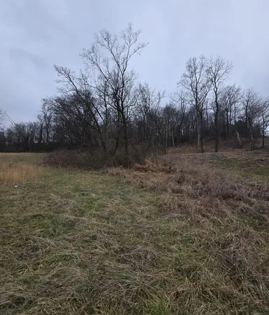 a view of outdoor space and yard