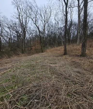 a view of a outdoor space