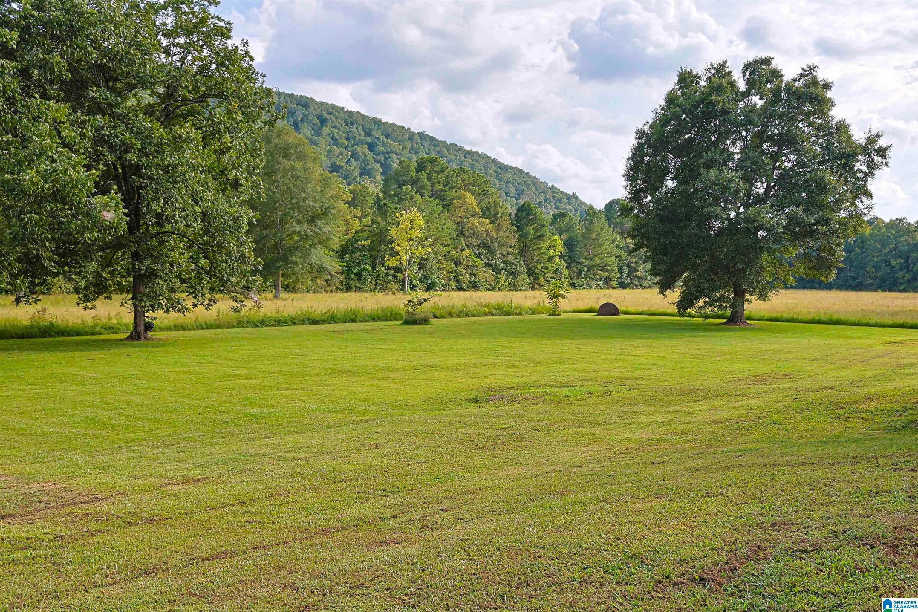 5149 Green Valley Road Southside, AL 35907 - Photo 51 of 74 Gallery Image 51