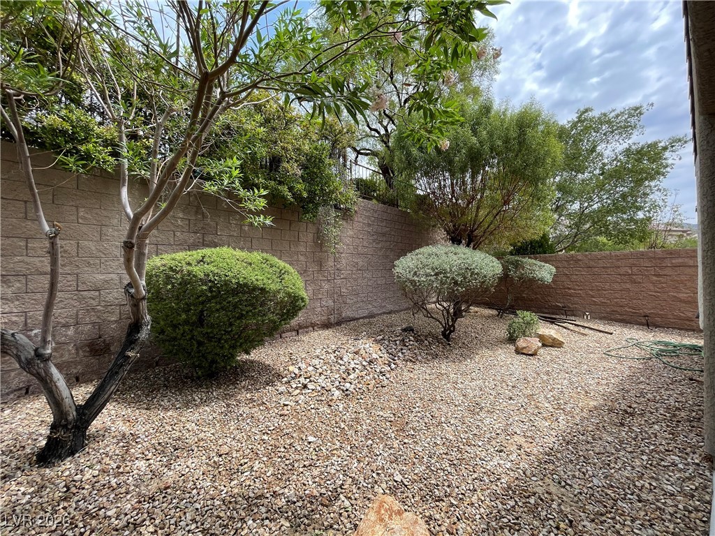 2376 Rift Valley Street Henderson, NV 89044 - Photo 22 of 22