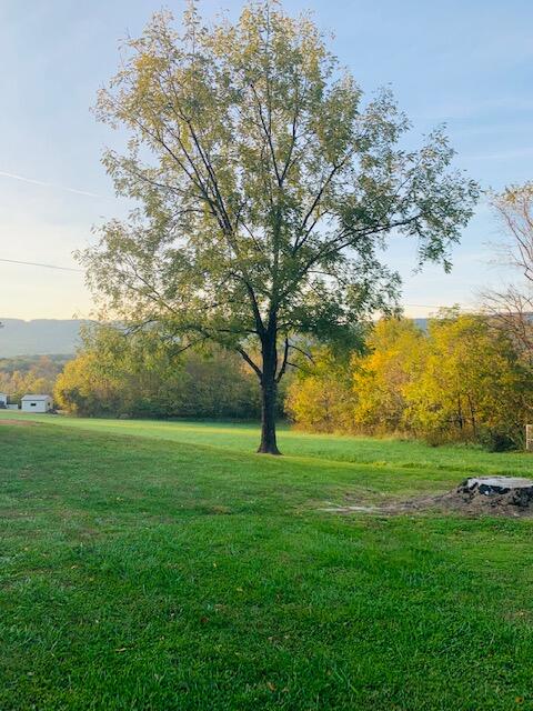 4349 Murrells Gap Road Montvale, VA 24122 - Photo 30 of 53 IMG_8234