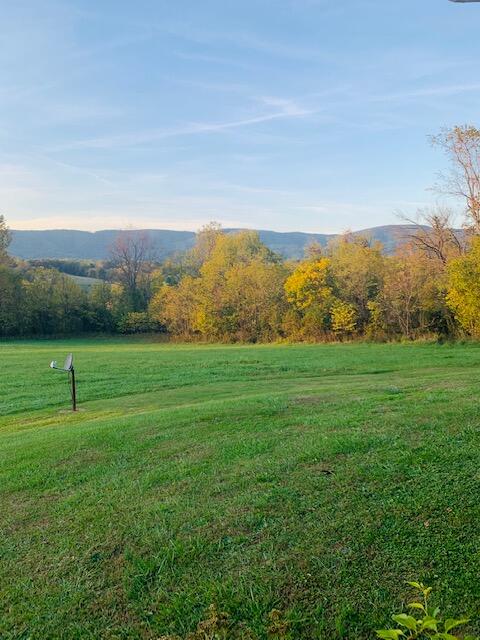 4349 Murrells Gap Road Montvale, VA 24122 - Photo 38 of 53 IMG_8244