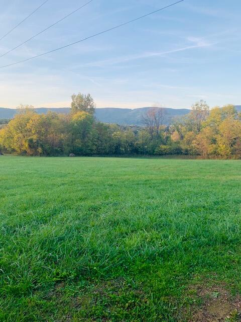 4349 Murrells Gap Road Montvale, VA 24122 - Photo 42 of 53 IMG_8248