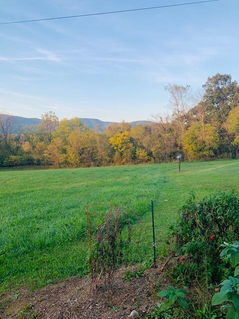 4349 Murrells Gap Road Montvale, VA 24122 - Photo 43 of 53 IMG_8249