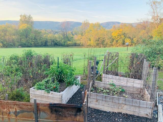 4349 Murrells Gap Road Montvale, VA 24122 - Photo 44 of 53 IMG_8250