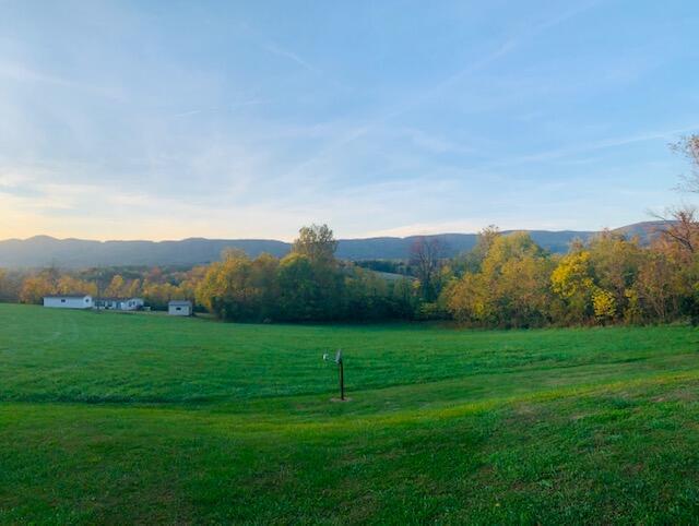 4349 Murrells Gap Road Montvale, VA 24122 - Photo 52 of 53 IMG_8260