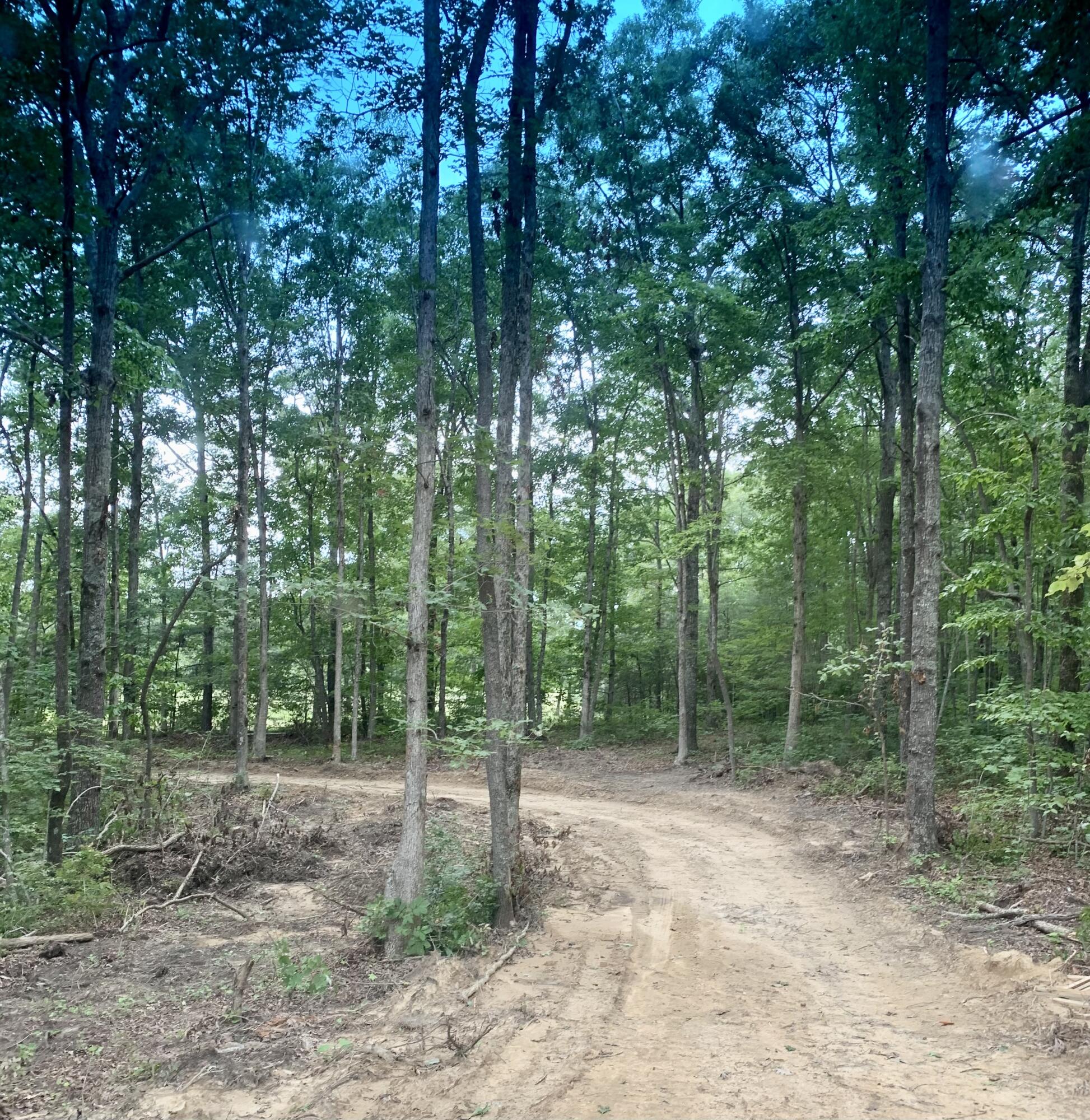 3653 Window Rock Road Dunlap, TN 37327 - Photo 5 of 8 6F99FED1-08CC-4AE9-9170-EED60CE50AF3