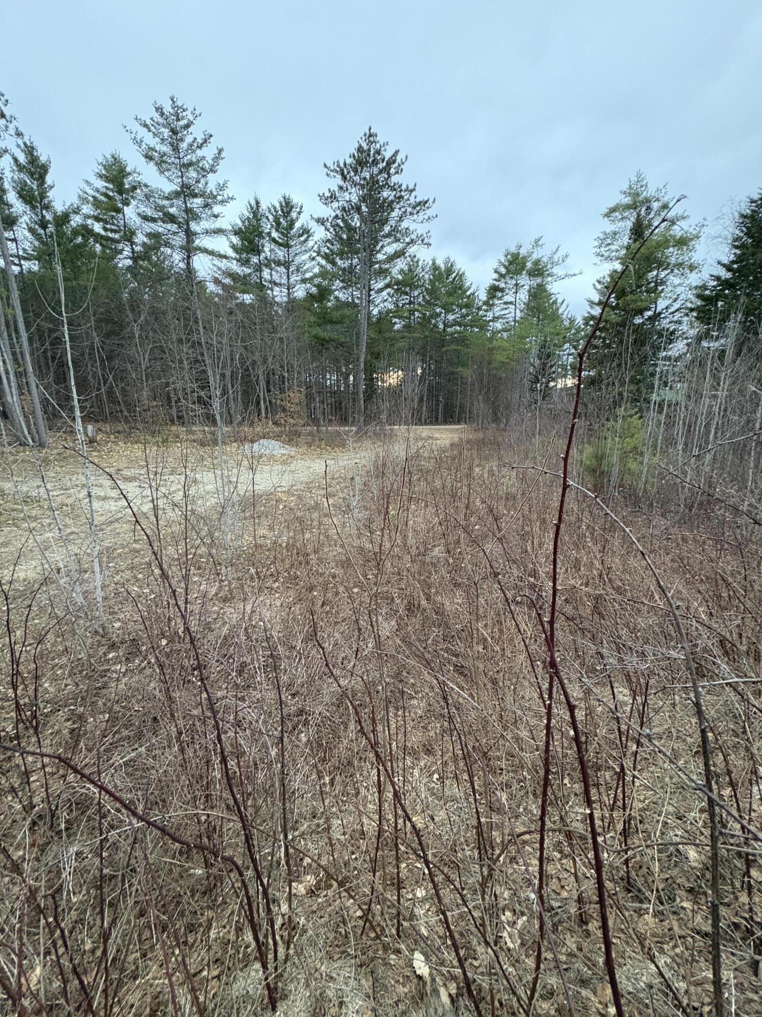 Lot 1 Fleming Road Bethel, ME 04217 - Photo 11 of 15 IMG_3374