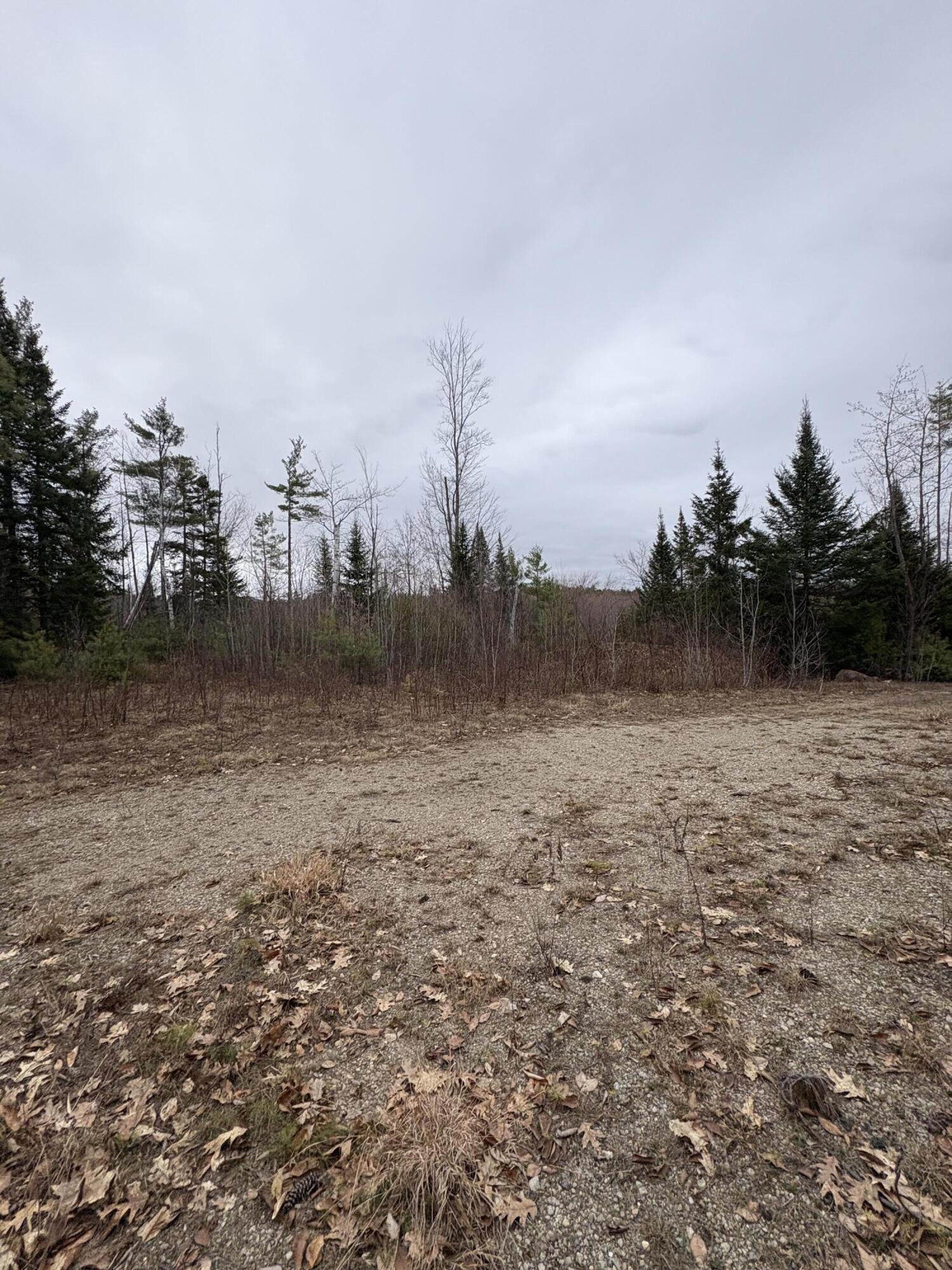 Lot 1 Fleming Road Bethel, ME 04217 - Photo 12 of 15 IMG_3372