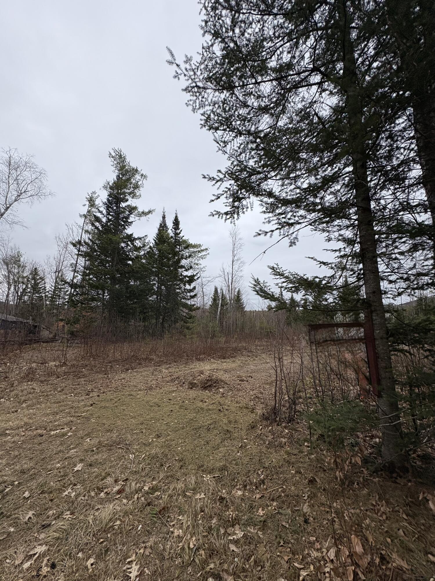 Lot 1 Fleming Road Bethel, ME 04217 - Photo 13 of 15 IMG_3371