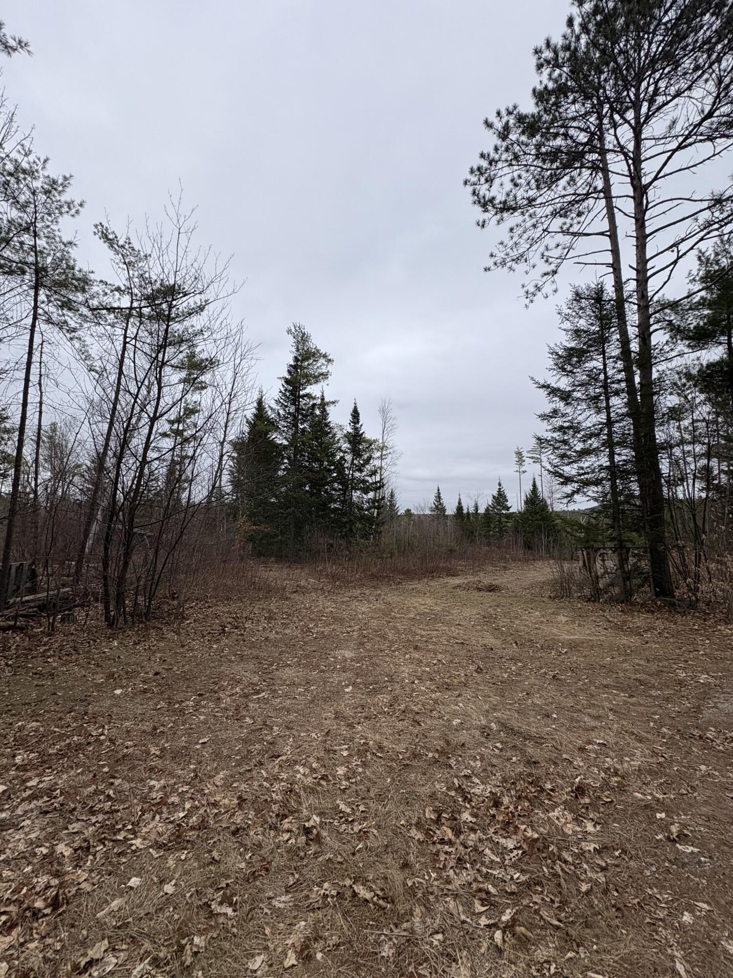 Lot 1 Fleming Road Bethel, ME 04217 - Photo 14 of 15 IMG_3370