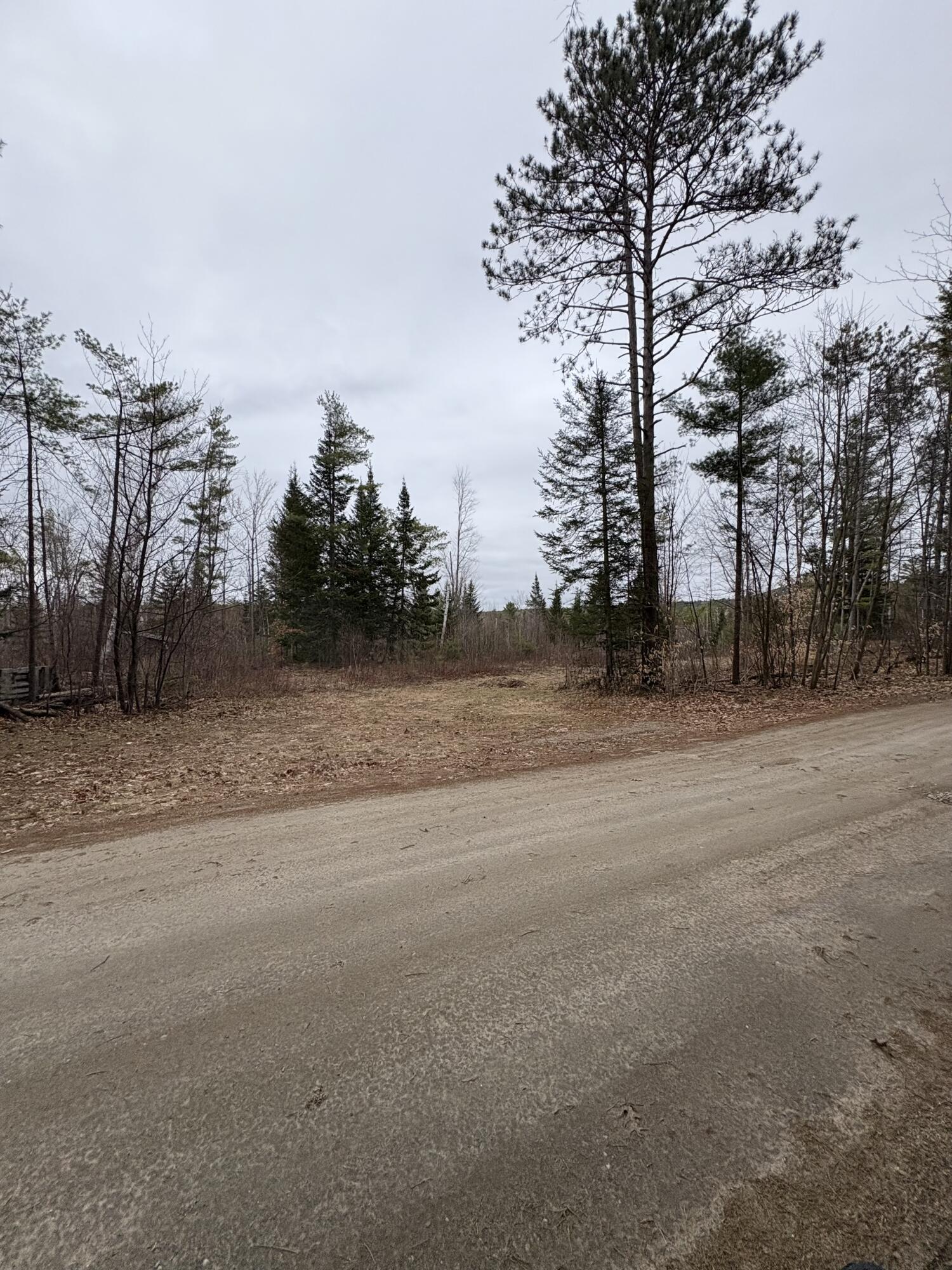 Lot 1 Fleming Road Bethel, ME 04217 - Photo 15 of 15 IMG_3369