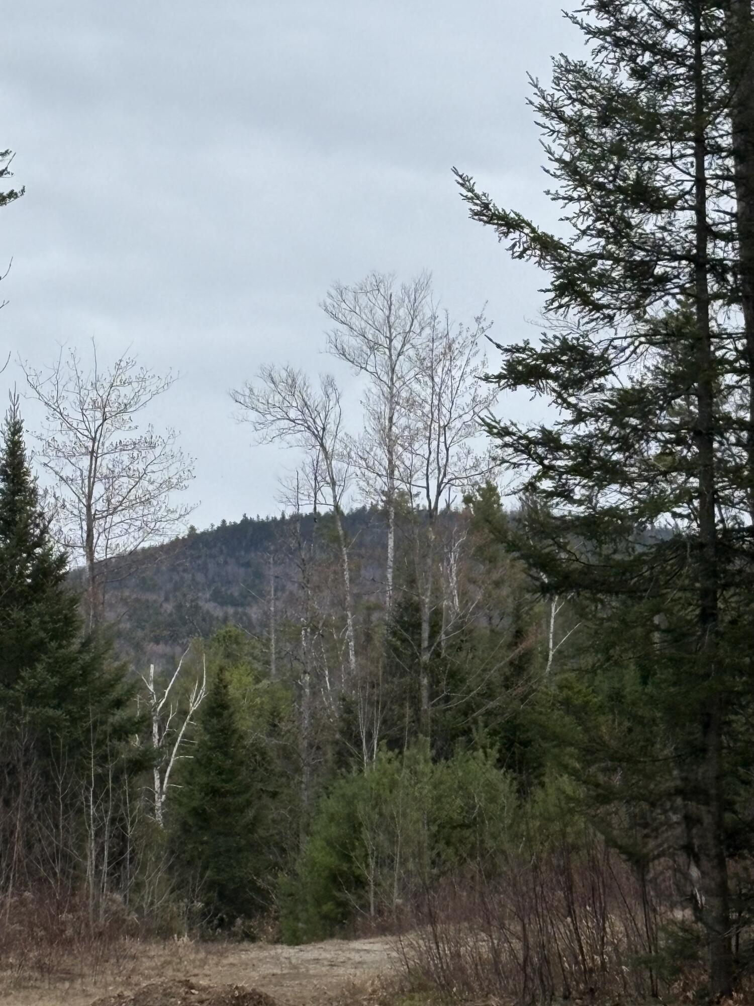 Lot 1 Fleming Road Bethel, ME 04217 - Photo 3 of 15 IMG_3387