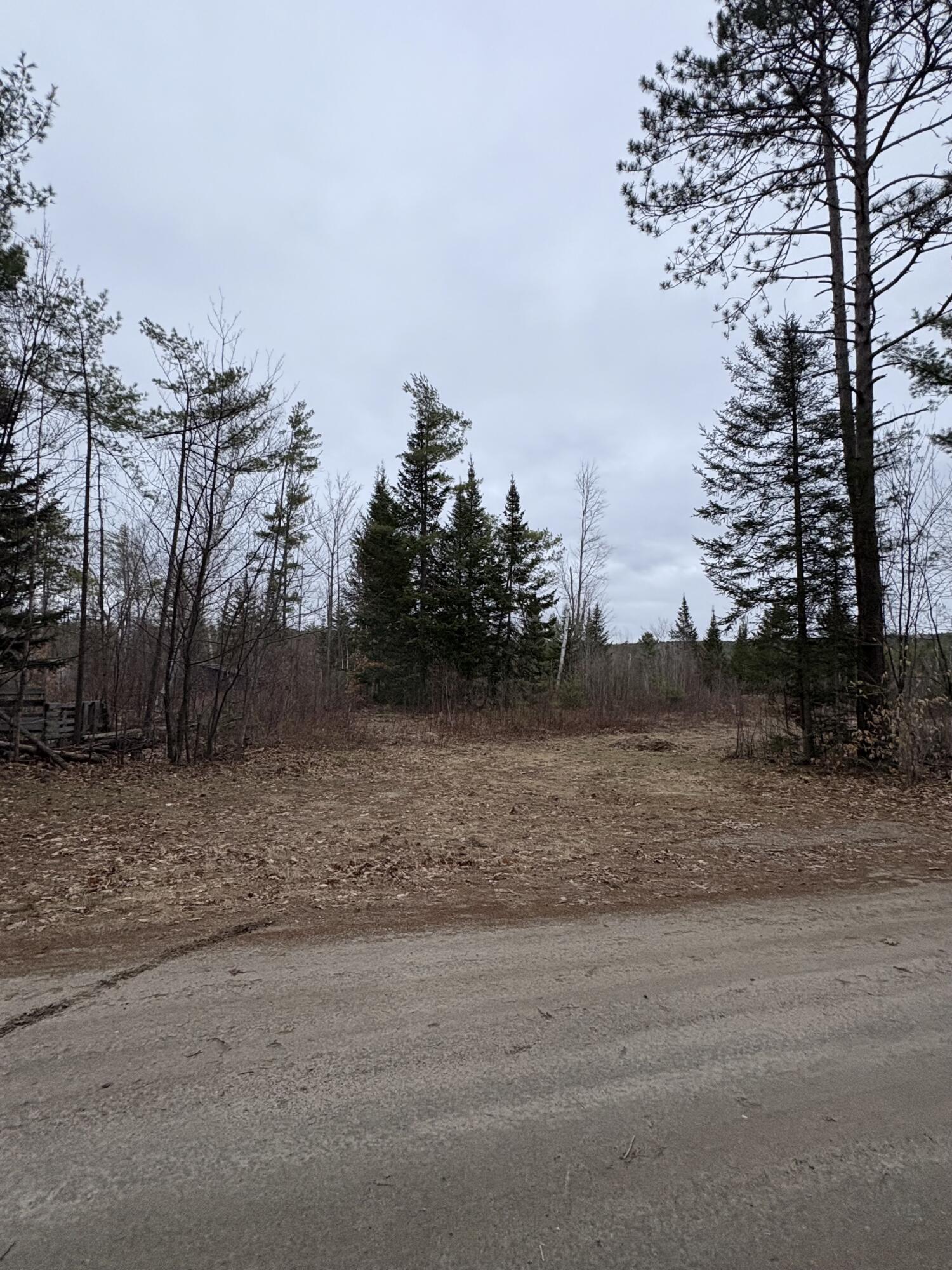 Lot 1 Fleming Road Bethel, ME 04217 - Photo 4 of 15 IMG_3388