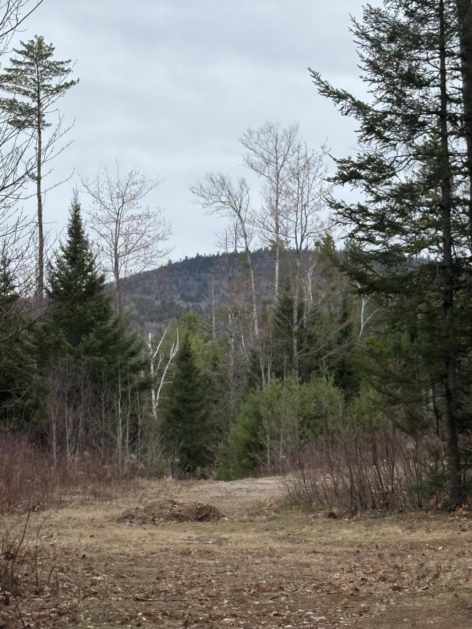 Lot 1 Fleming Road Bethel, ME 04217 - Photo 5 of 15 IMG_3385