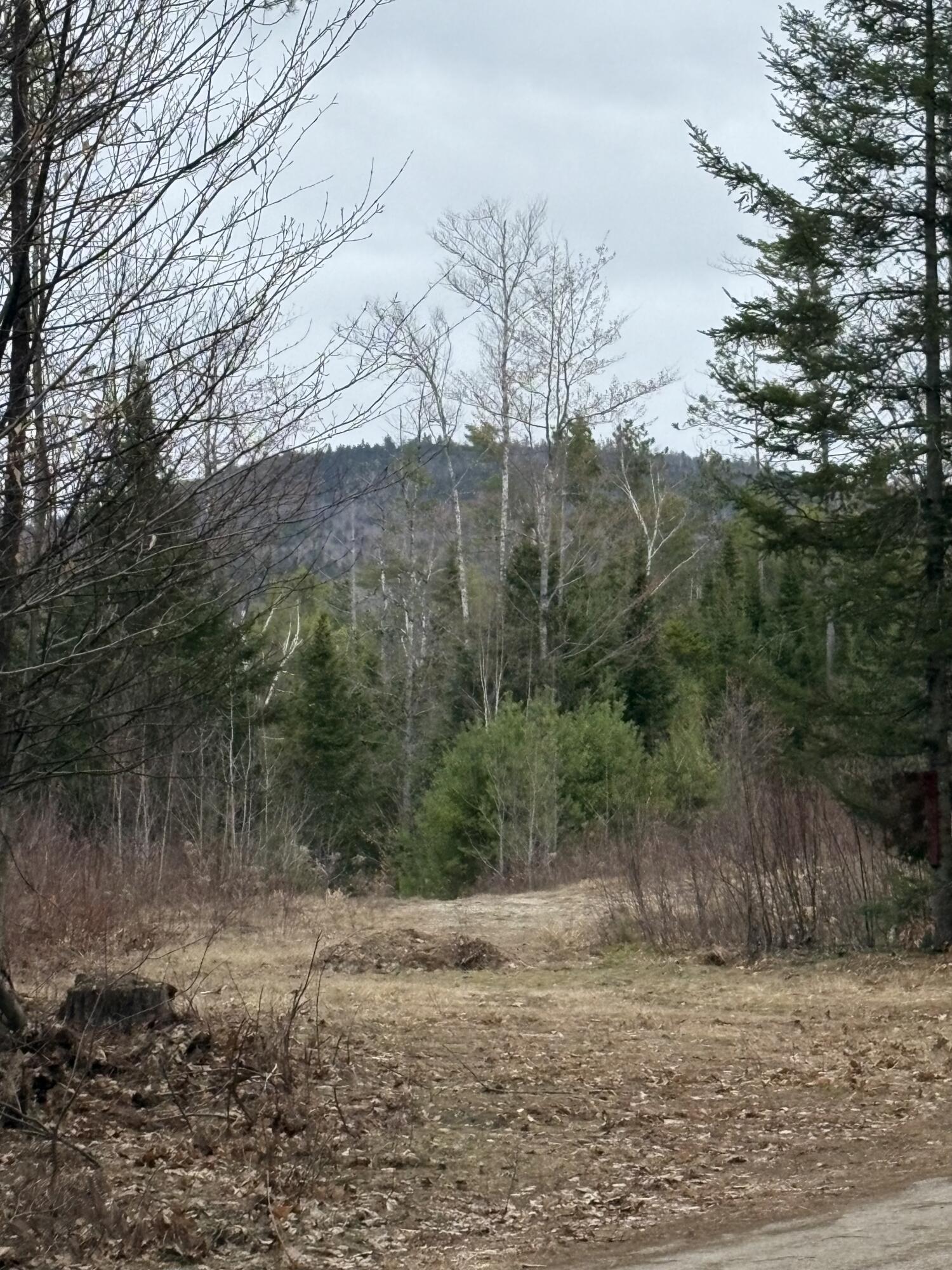 Lot 1 Fleming Road Bethel, ME 04217 - Photo 6 of 15 IMG_3384