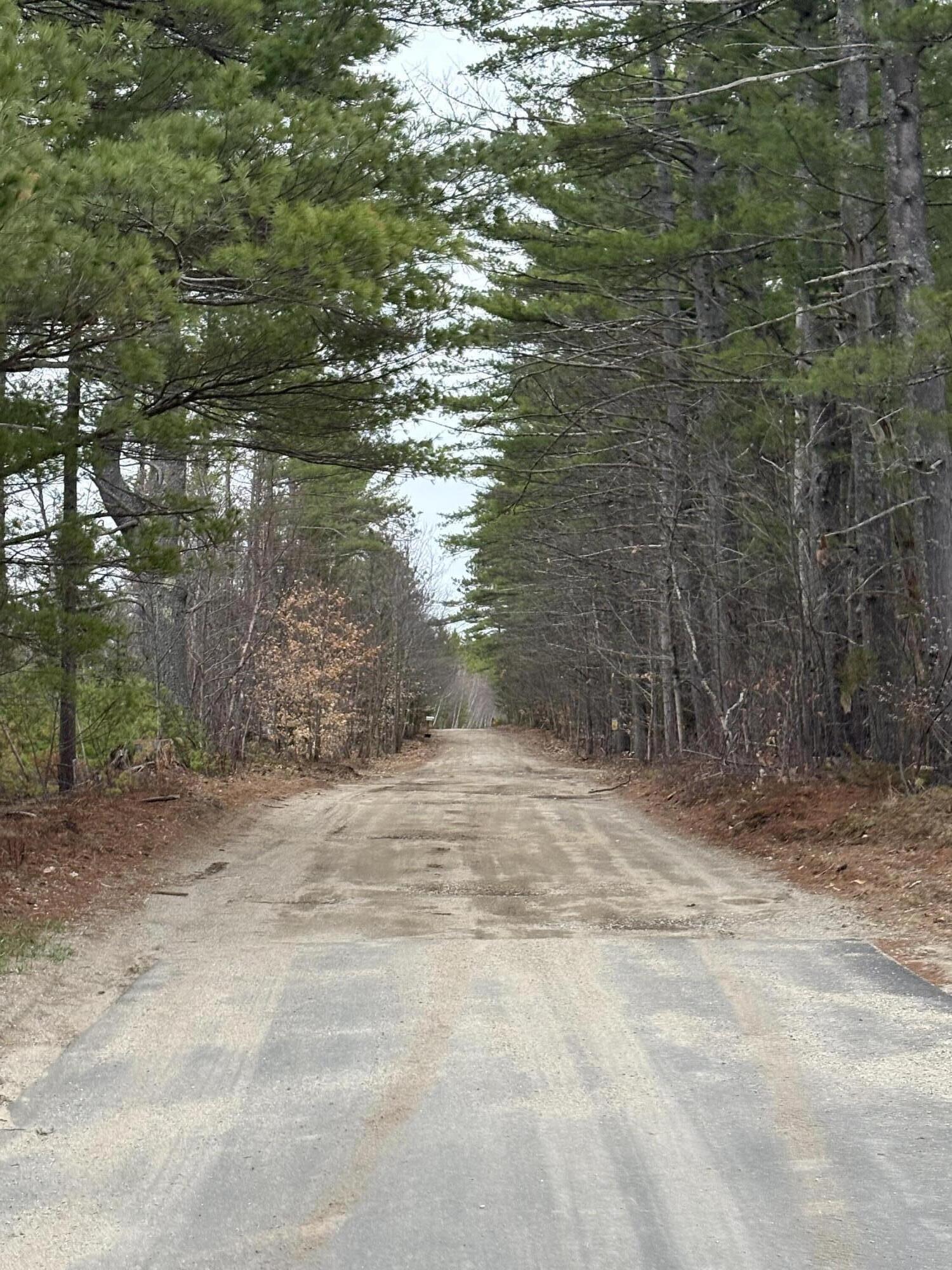 Lot 1 Fleming Road Bethel, ME 04217 - Photo 7 of 15 IMG_3383