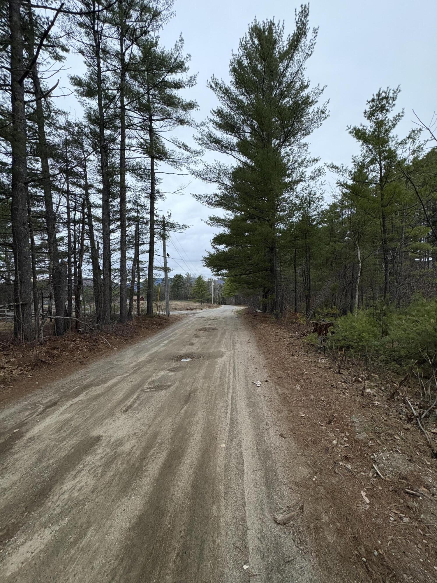 Lot 1 Fleming Road Bethel, ME 04217 - Photo 9 of 15 IMG_3380