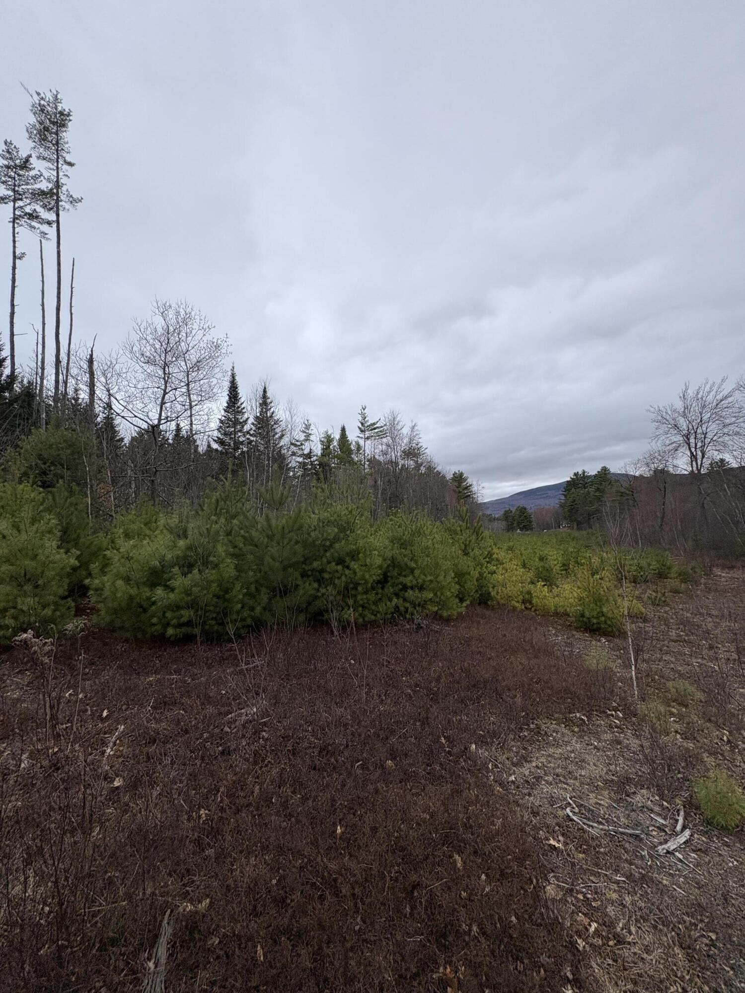 Lot 1 Fleming Road Bethel, ME 04217 - Photo 10 of 15 IMG_3378