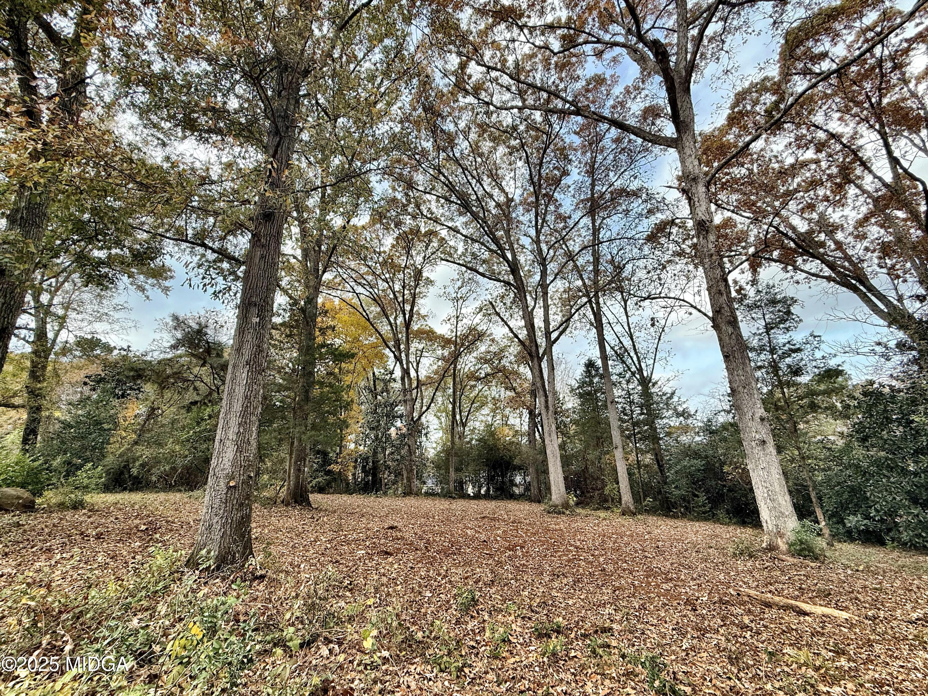 0 South Lee Street Forsyth, GA 31029 - Photo 1 of 5 a pathway of a forest