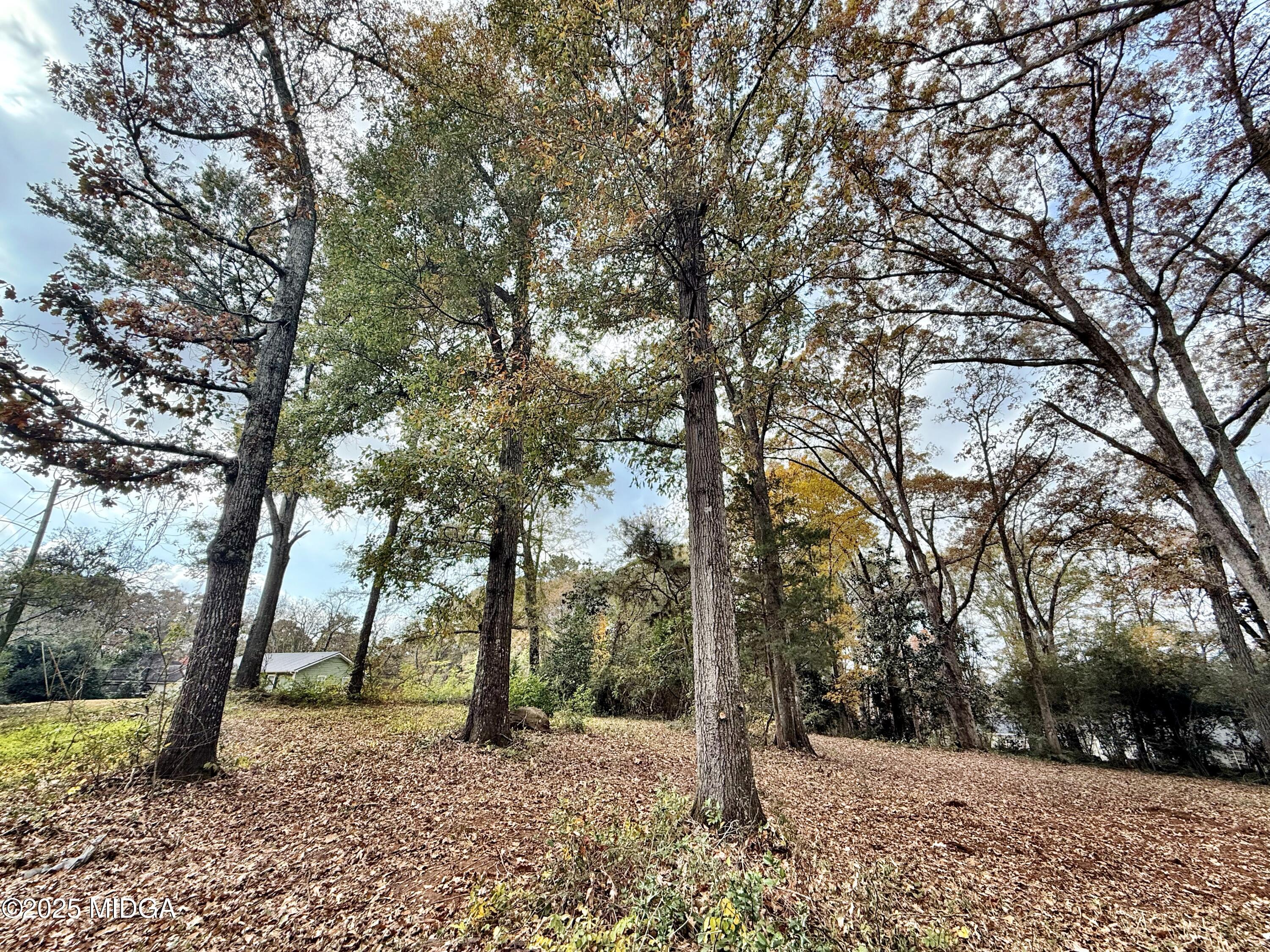 0 South Lee Street Forsyth, GA 31029 - Photo 2 of 5 a view of outdoor space with lots of trees