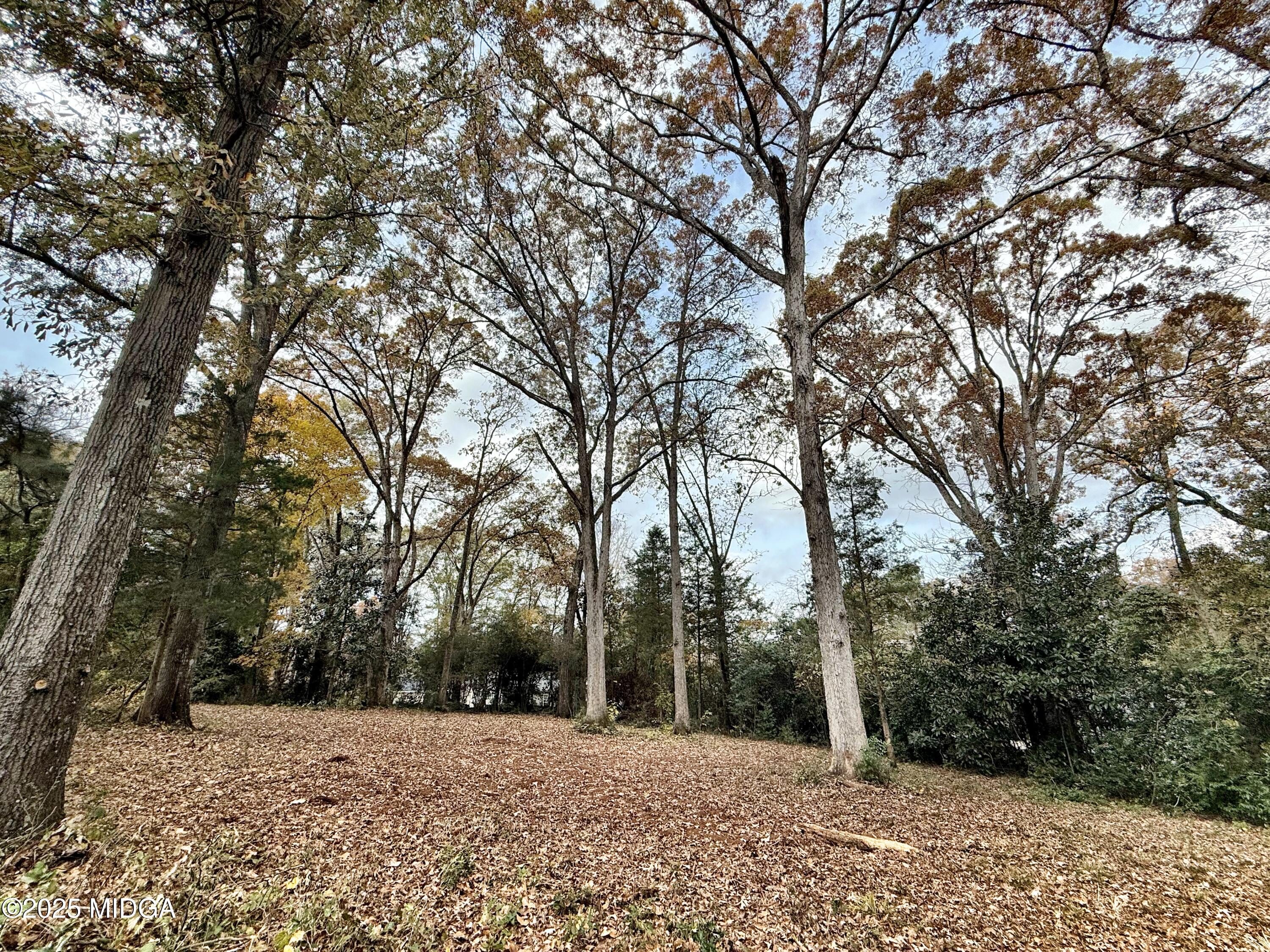 0 South Lee Street Forsyth, GA 31029 - Photo 3 of 5 a view of outdoor space with trees