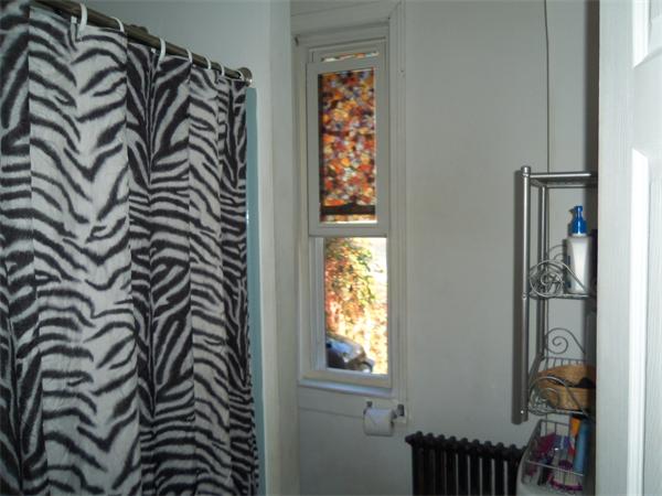 17 Rockingham Street Lowell, MA 01852 - Photo 6 of 12 Gallery Image 6