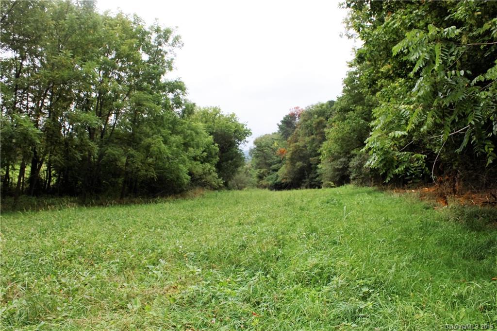 0 Robinson Road, Unit R1 Clyde, NC 28721 - Photo 1 of 14 a view of a yard with a trees