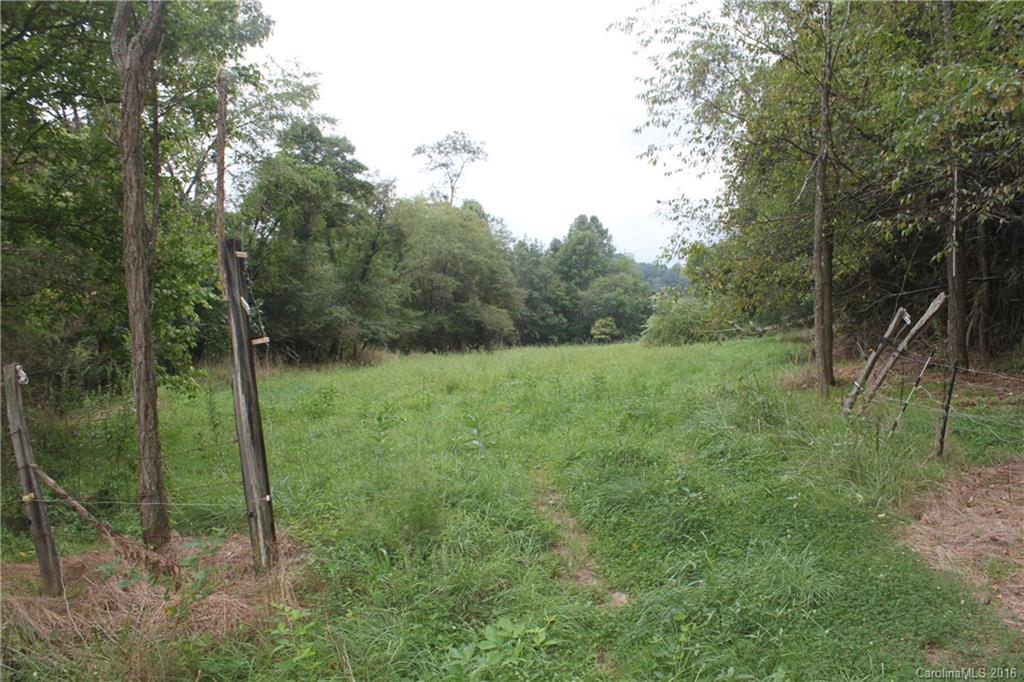 0 Robinson Road, Unit R1 Clyde, NC 28721 - Photo 5 of 14 a view of a lush green forest