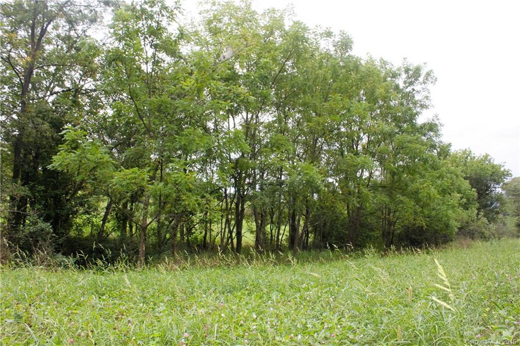 0 Robinson Road, Unit R1 Clyde, NC 28721 - Photo 8 of 14 a view of a green yard