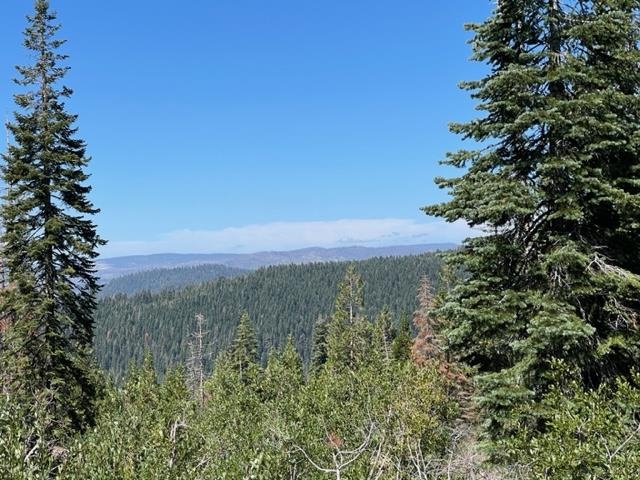 0 Big Creek Road Quincy, CA 95971 - Photo 11 of 19