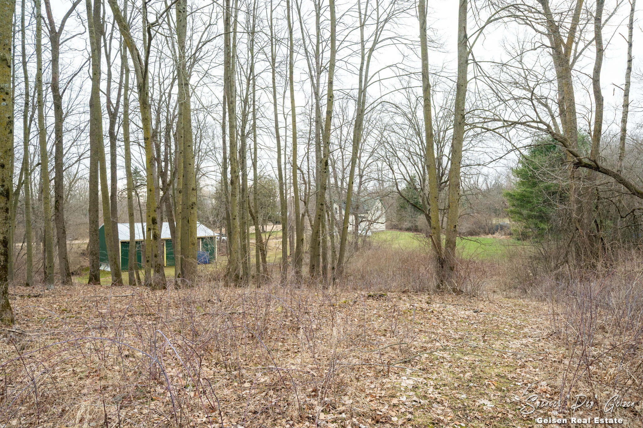 5856 Kiddville Road Belding, MI 48809 - Photo 44 of 56 43-web-or-mls-5856 kiddville Rd, Belding