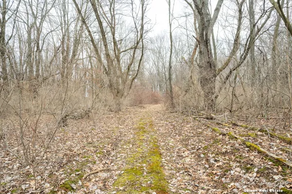 $239,900 | 5856 Kiddville Road, Belding, MI 48809