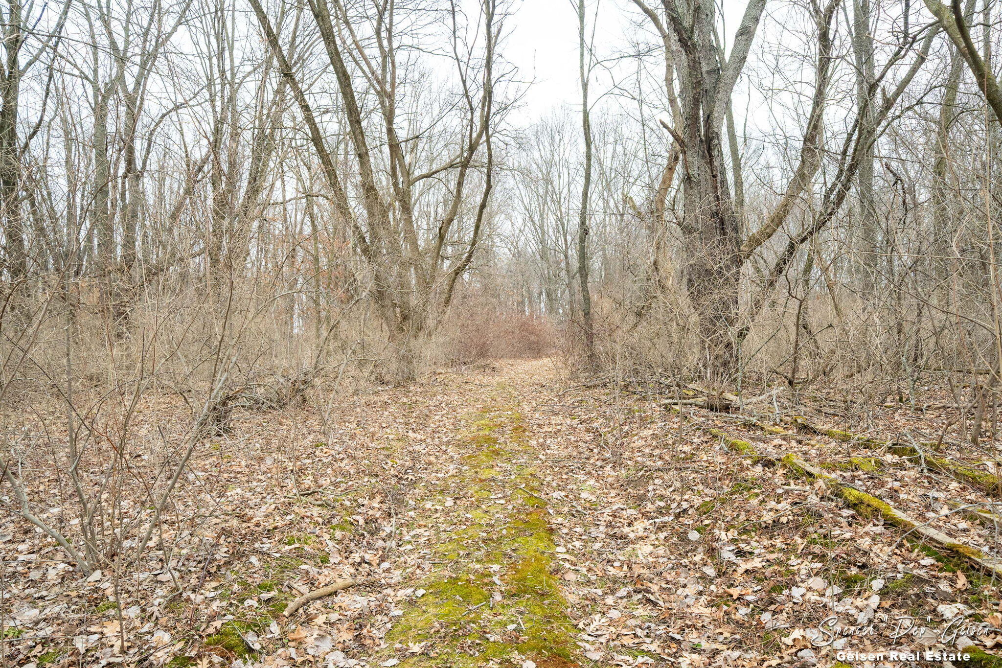 5856 Kiddville Road Belding, MI 48809 - Photo 48 of 56 47-web-or-mls-5856 kiddville Rd, Belding