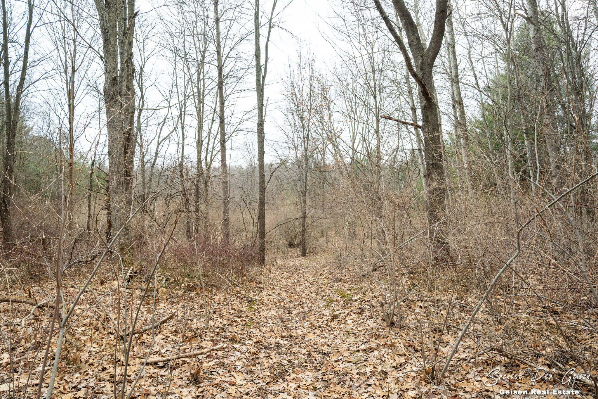 5856 Kiddville Road Belding, MI 48809 - Photo 49 of 56 48-web-or-mls-5856 kiddville Rd, Belding