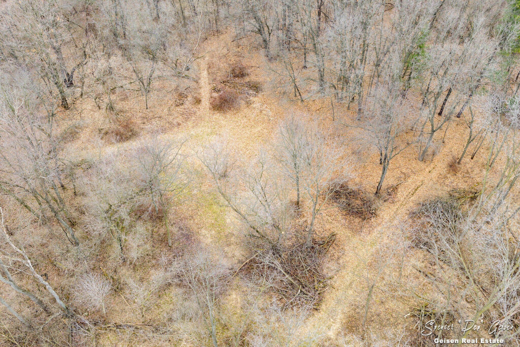 5856 Kiddville Road Belding, MI 48809 - Photo 50 of 56 49-web-or-mls-5856 kiddville Rd, Belding