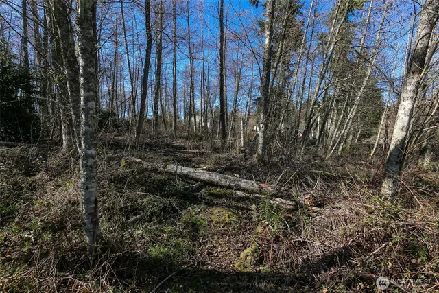 a view of outdoor space with lots of trees