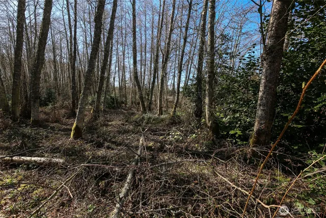 $199,000 | 1231 Red Fox Lane, Freeland, WA 98249