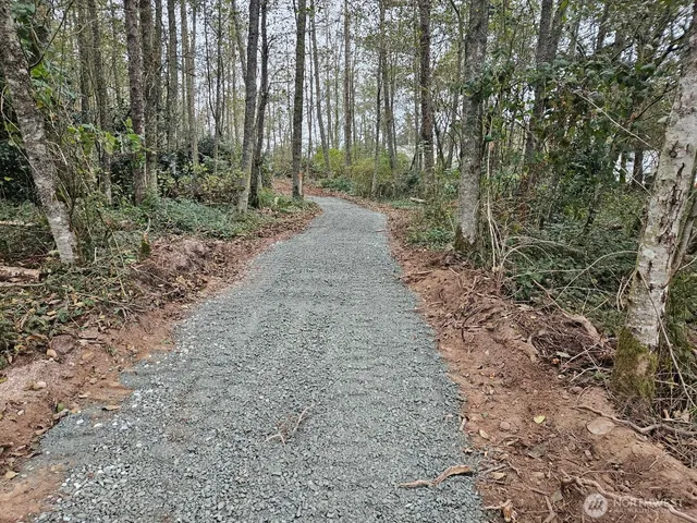 a view of a dirt road with trees in the background