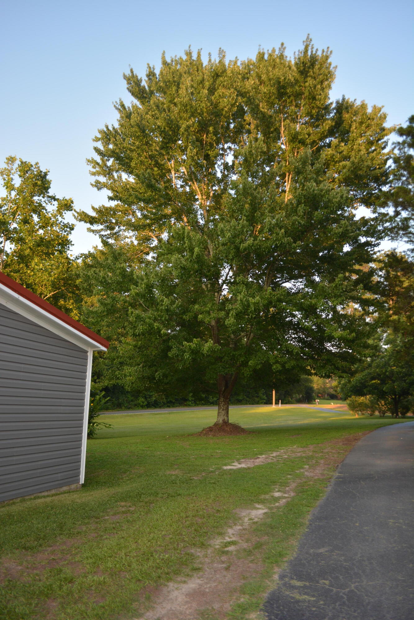 2126 Cedar Grove Road Leesville, SC 29070 - Photo 73 of 74