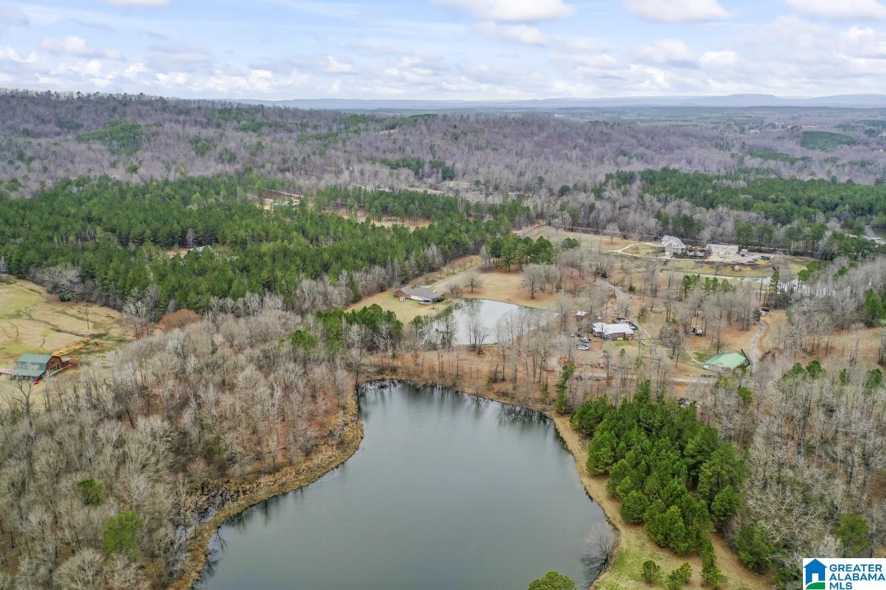 1726 Alston Farm Road Columbiana, AL 35051 - Photo 50 of 61