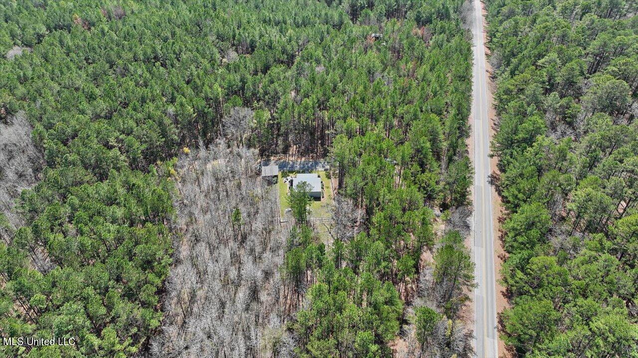 820 Forest Grove Road Carthage, MS 39051 - Photo 54 of 69 54-820 Forest Grove Rd