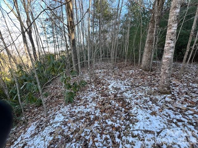 621 Round Top Road Bryson City, NC 28713 - Photo 11 of 13 a view of backyard with green space