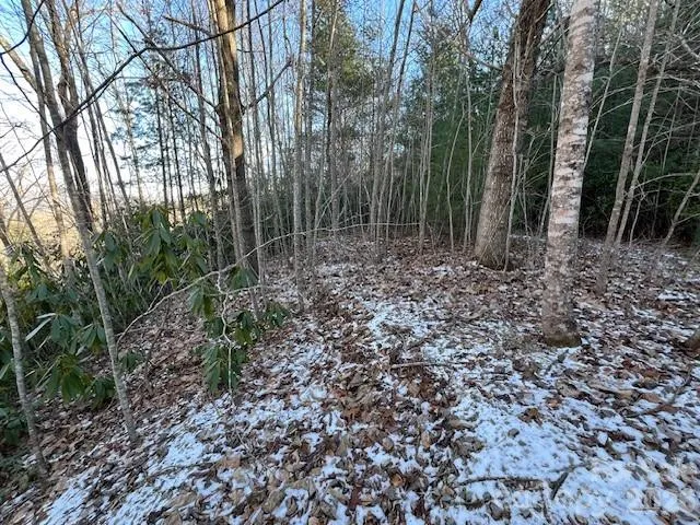 a view of an outdoor space