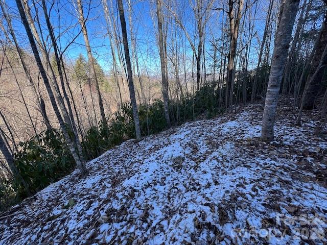 621 Round Top Road Bryson City, NC 28713 - Photo 13 of 13 a view of backyard with green space