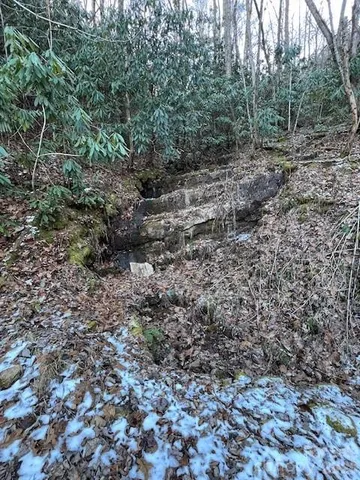 a view of a large yard with lots of green space