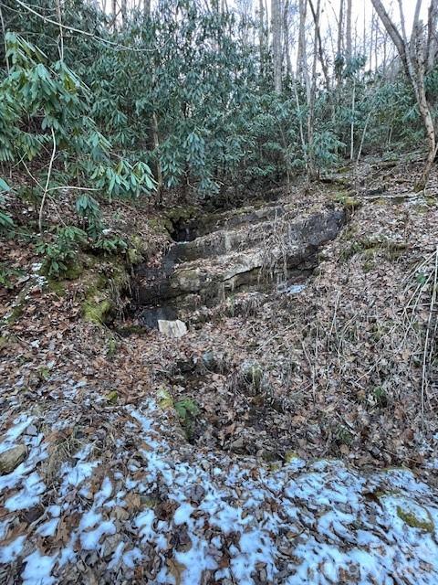 621 Round Top Road Bryson City, NC 28713 - Photo 3 of 13 a view of a large yard with lots of green space