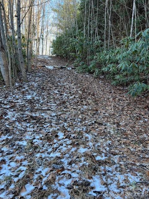 621 Round Top Road Bryson City, NC 28713 - Photo 4 of 13 a view of a yard with plants and trees