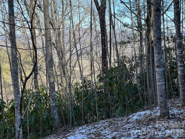 621 Round Top Road Bryson City, NC 28713 - Photo 7 of 13 a view of forest